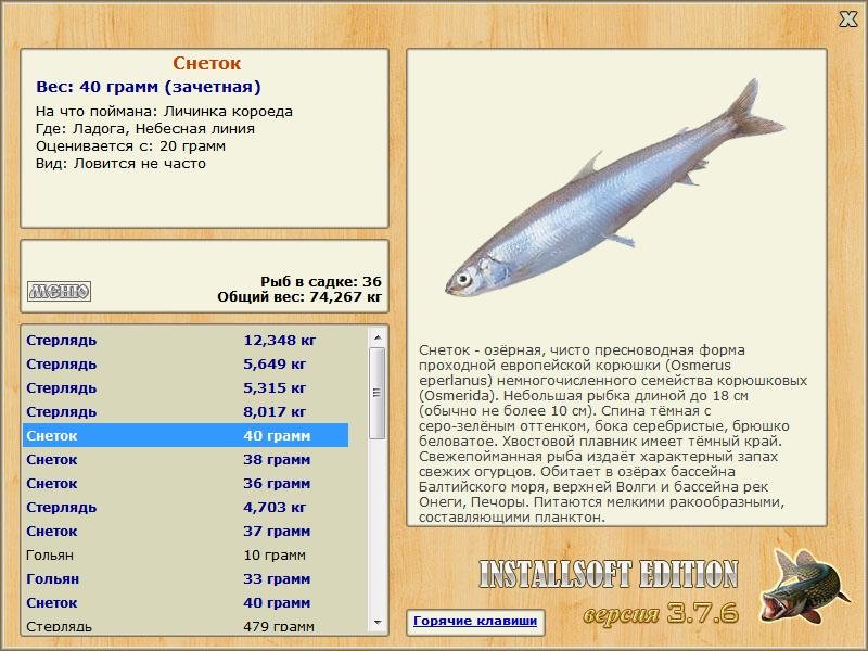 Небесная линия 
