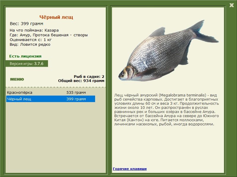 турниры • РУССКАЯ РЫБАЛКА