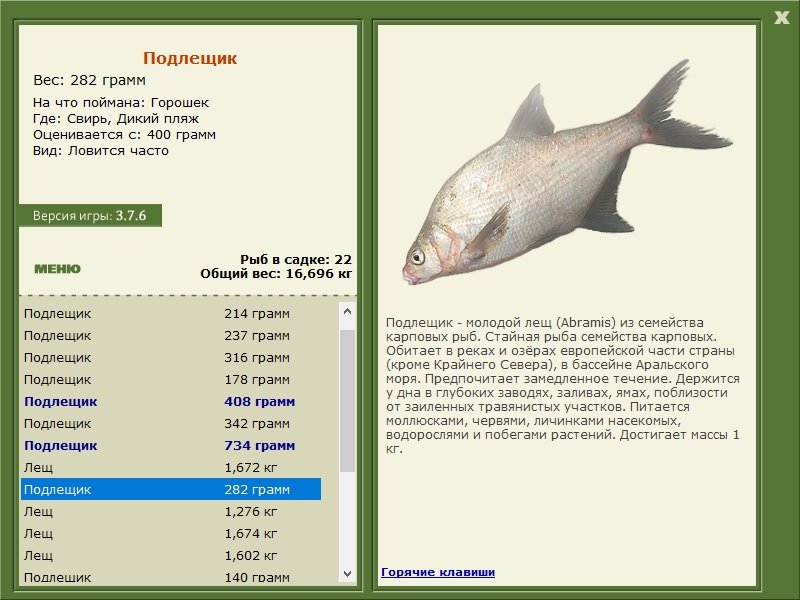 турниры • РУССКАЯ РЫБАЛКА