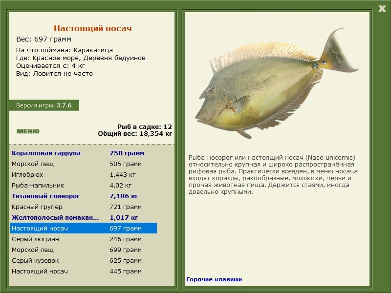 турниры • РУССКАЯ РЫБАЛКА
