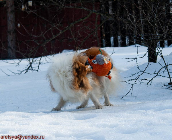  Привет, Бася - это я :-)