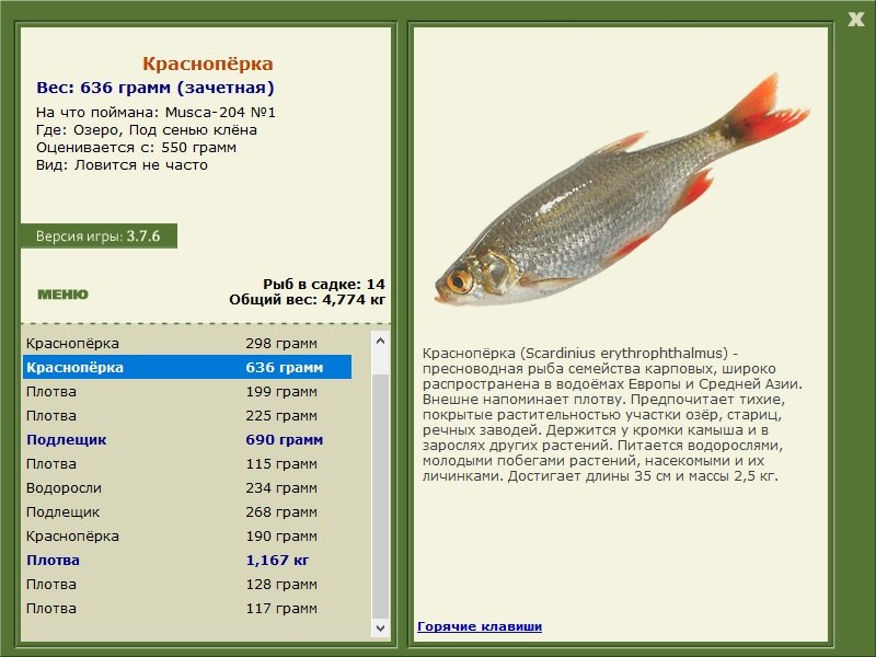 турниры • РУССКАЯ РЫБАЛКА