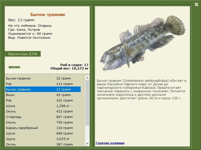 турниры • РУССКАЯ РЫБАЛКА