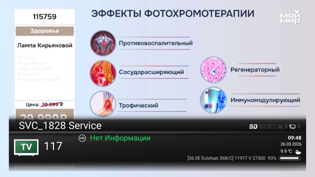  Ответить