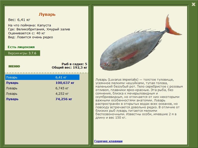 турниры • РУССКАЯ РЫБАЛКА