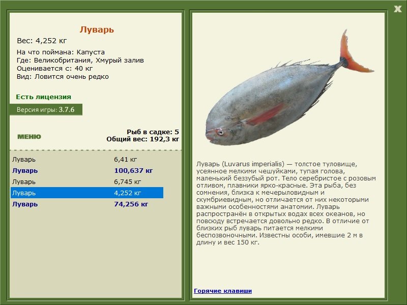 турниры • РУССКАЯ РЫБАЛКА