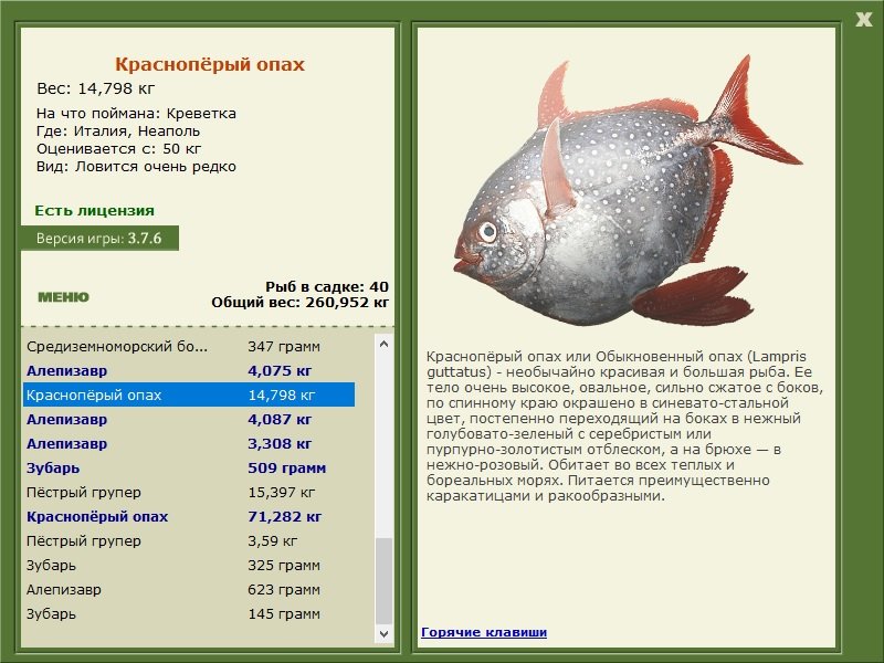 турниры • РУССКАЯ РЫБАЛКА