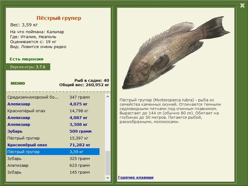 турниры • РУССКАЯ РЫБАЛКА