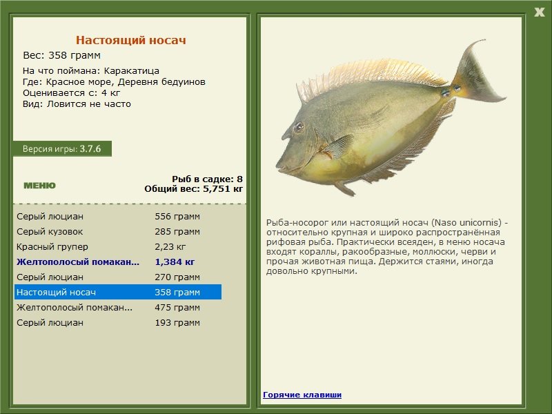 турниры • РУССКАЯ РЫБАЛКА