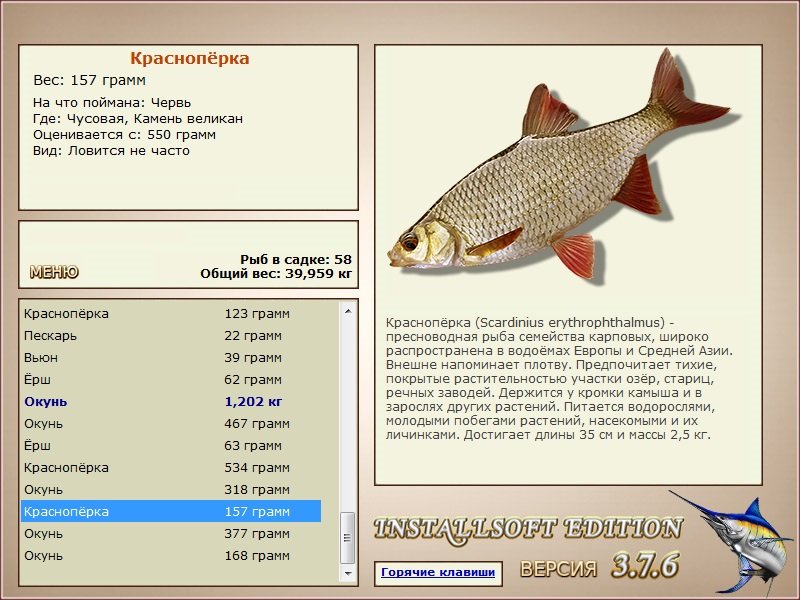 турниры • РУССКАЯ РЫБАЛКА
