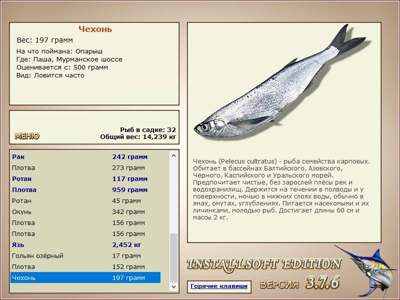 турниры • РУССКАЯ РЫБАЛКА