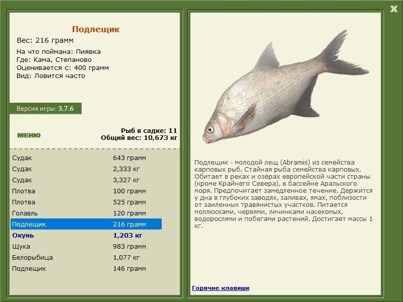 турниры • РУССКАЯ РЫБАЛКА