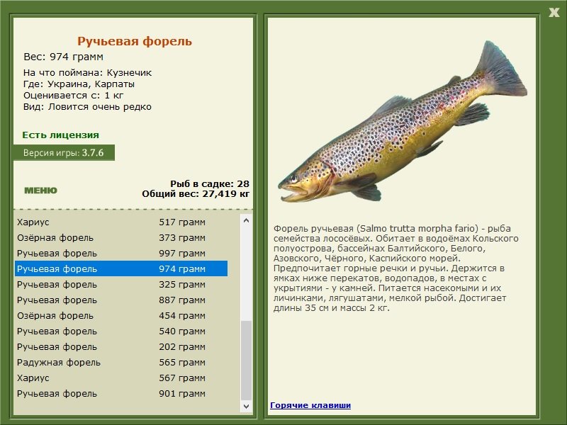 турниры • РУССКАЯ РЫБАЛКА