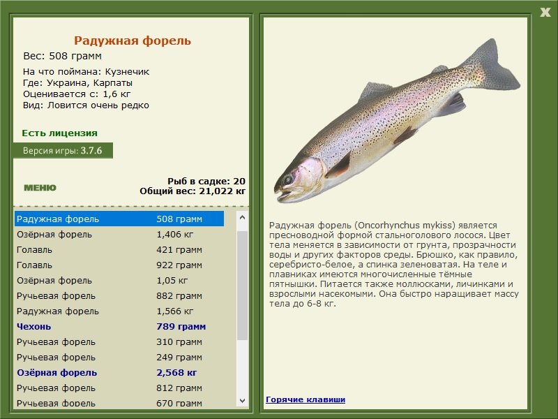 турниры • РУССКАЯ РЫБАЛКА