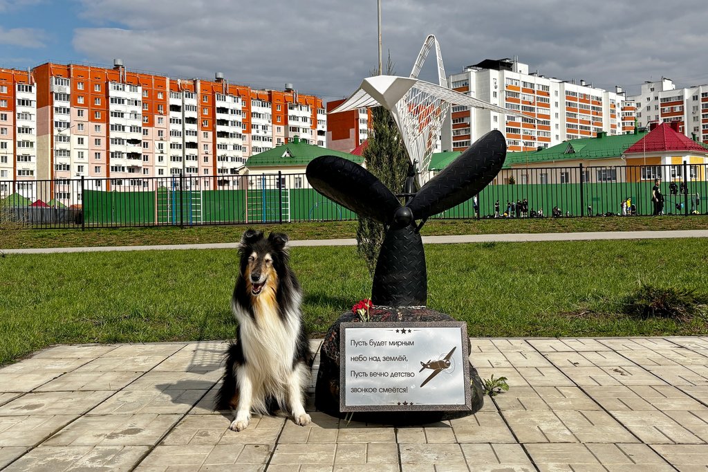  Колли Кристоль и Амабель