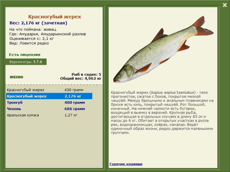 РУССКАЯ РЫБАЛКА Installsoft Edition 