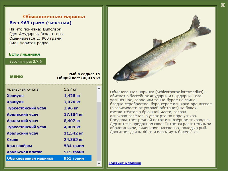РУССКАЯ РЫБАЛКА Installsoft Edition 