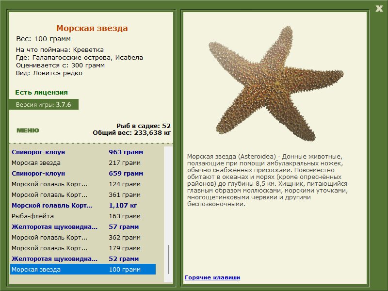 турниры • РУССКАЯ РЫБАЛКА