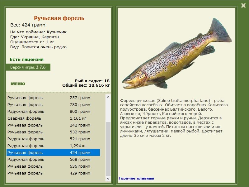 турниры • РУССКАЯ РЫБАЛКА