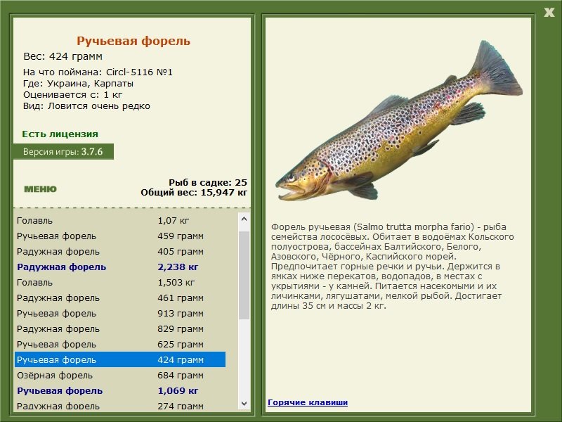 турниры • РУССКАЯ РЫБАЛКА