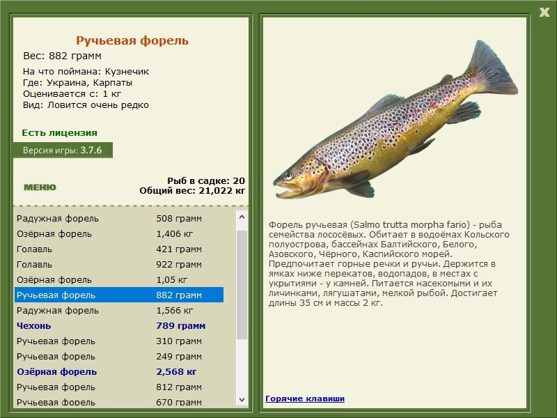 турниры • РУССКАЯ РЫБАЛКА