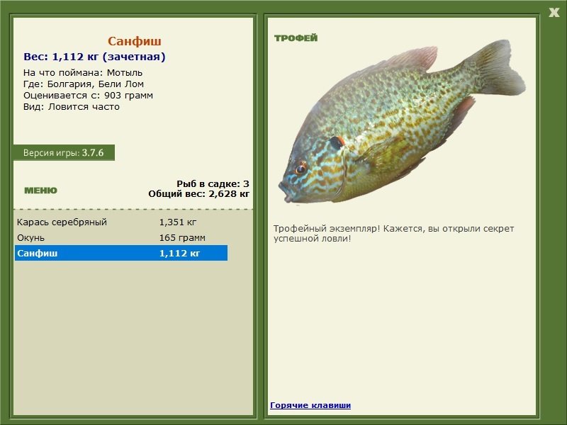 Бели Лом 
