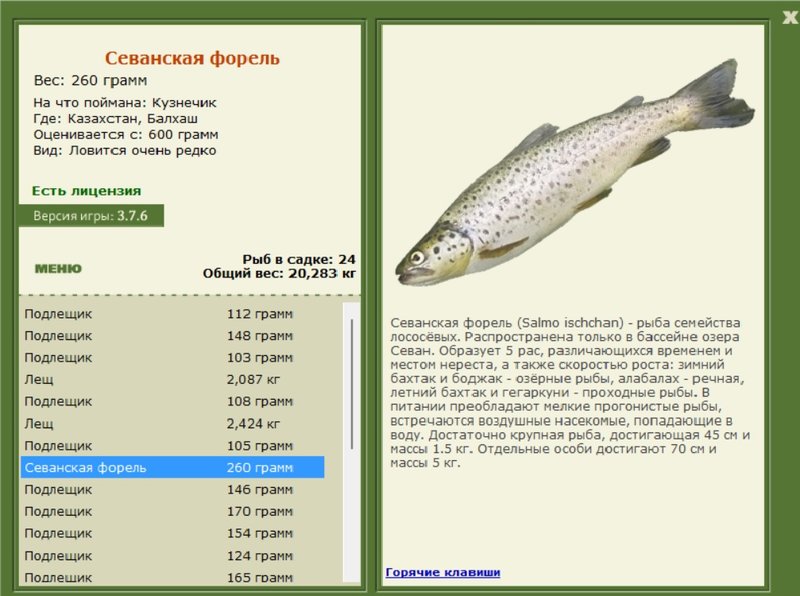 Балхаш 