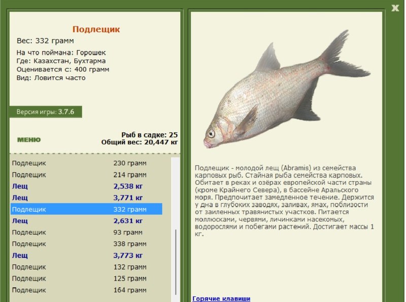 турниры • РУССКАЯ РЫБАЛКА