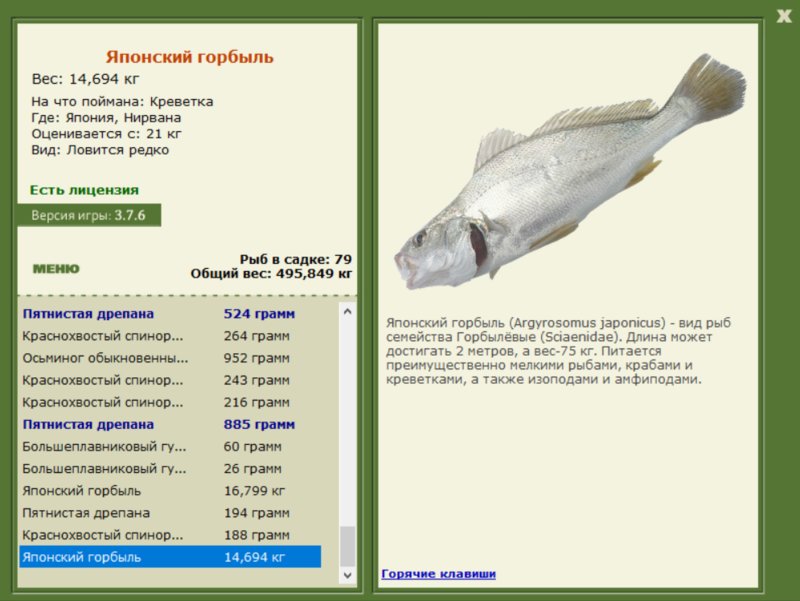 РУССКАЯ РЫБАЛКА Installsoft Edition 