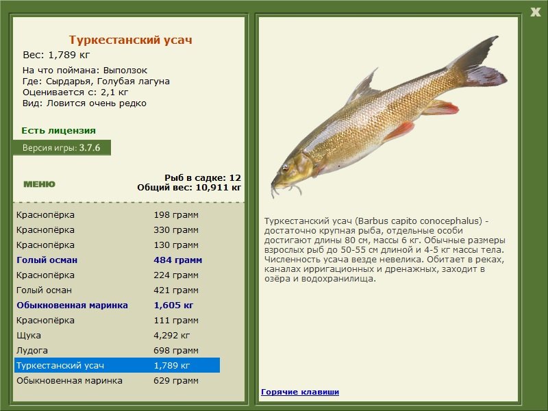 турниры • РУССКАЯ РЫБАЛКА