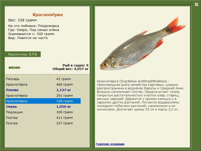 турниры • РУССКАЯ РЫБАЛКА