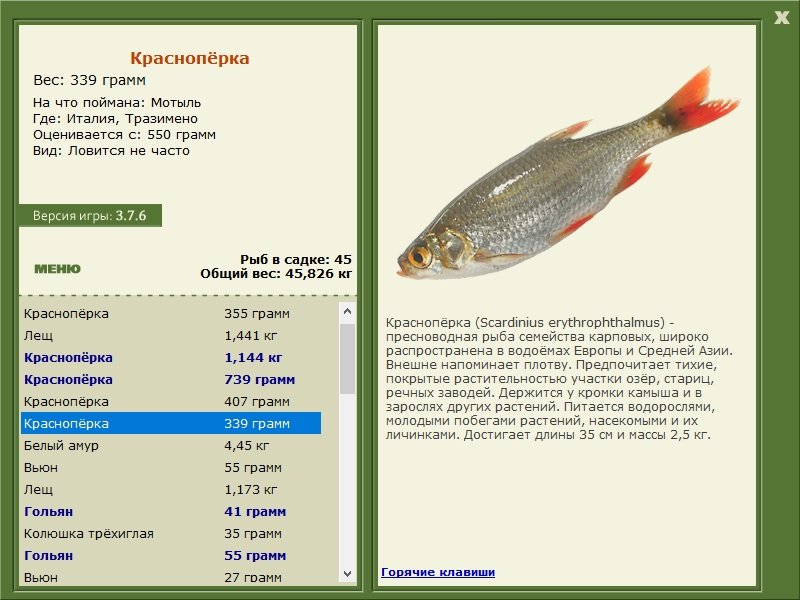 турниры • РУССКАЯ РЫБАЛКА