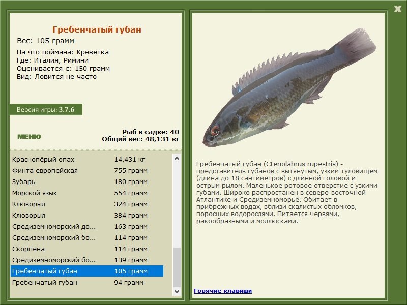турниры • РУССКАЯ РЫБАЛКА
