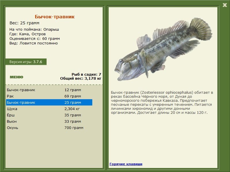 турниры • РУССКАЯ РЫБАЛКА