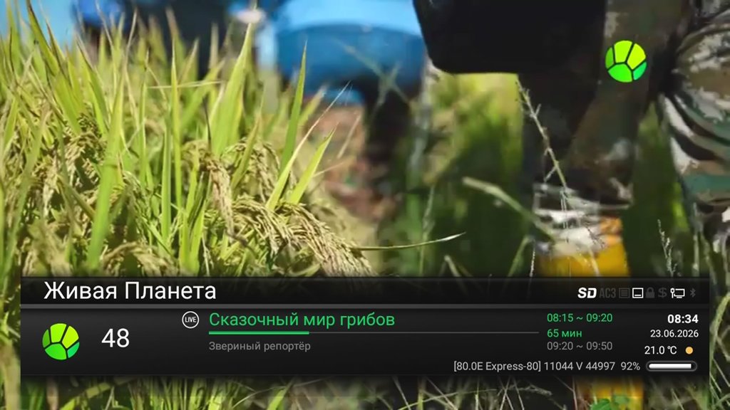80, 80° E - Страница 42 - Alensat