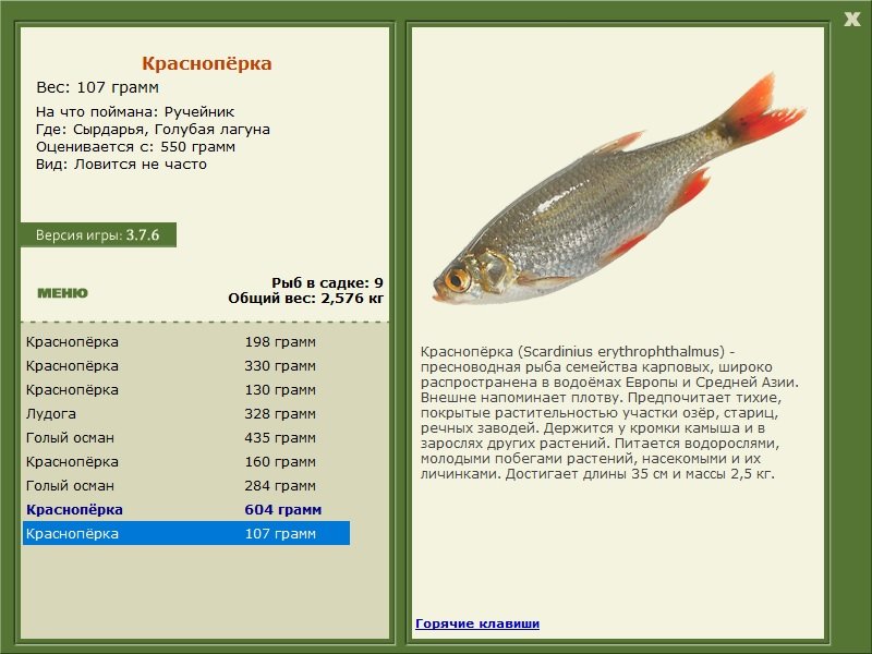 турниры • РУССКАЯ РЫБАЛКА