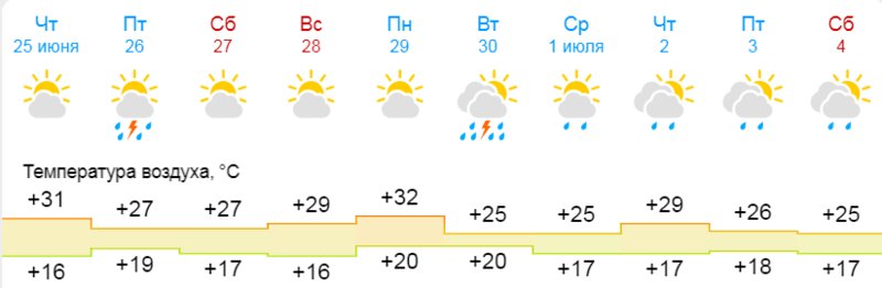 2024.05.09 У природы нет плохой погоды...