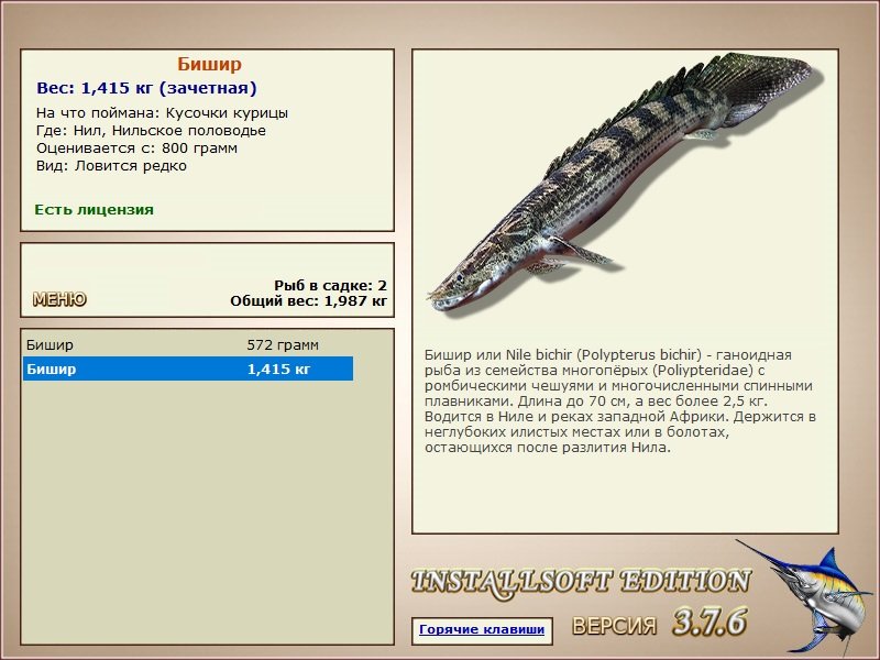 турниры • РУССКАЯ РЫБАЛКА