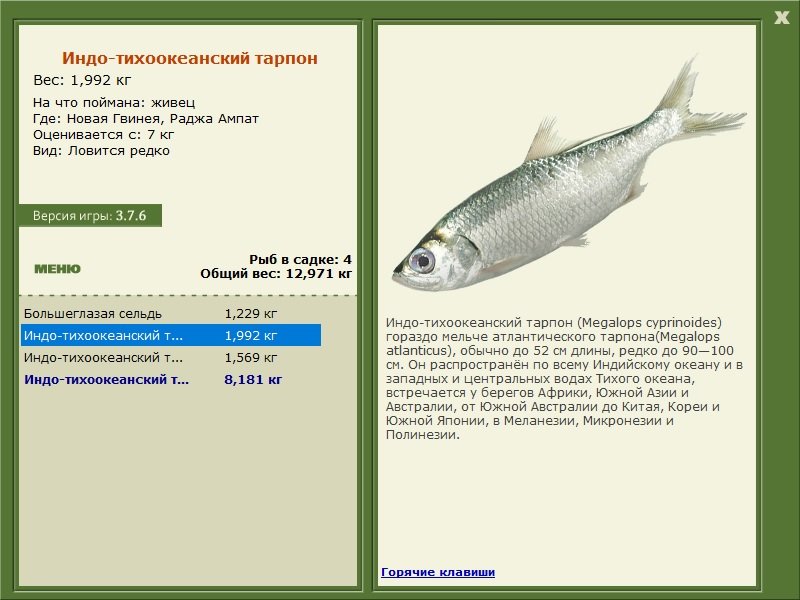 турниры • РУССКАЯ РЫБАЛКА