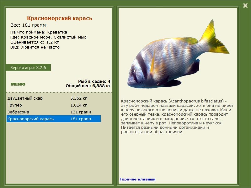 турниры • РУССКАЯ РЫБАЛКА