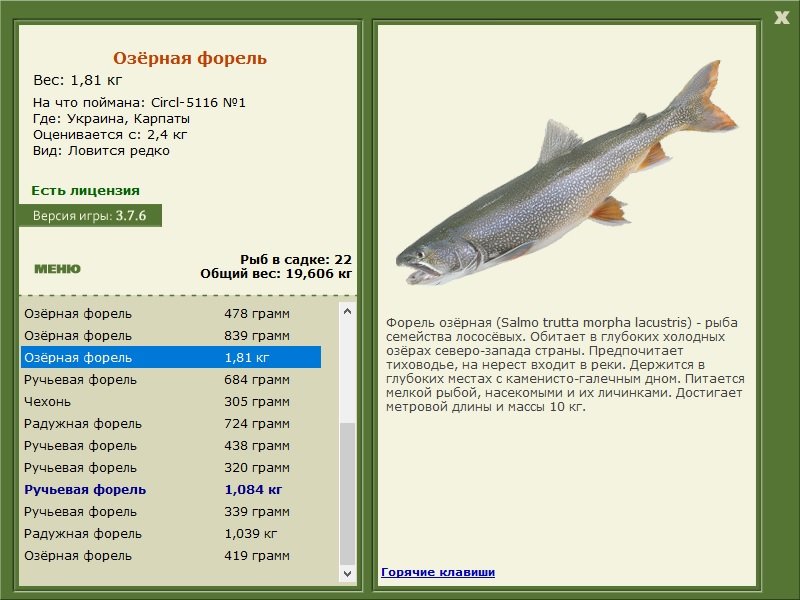 турниры • РУССКАЯ РЫБАЛКА