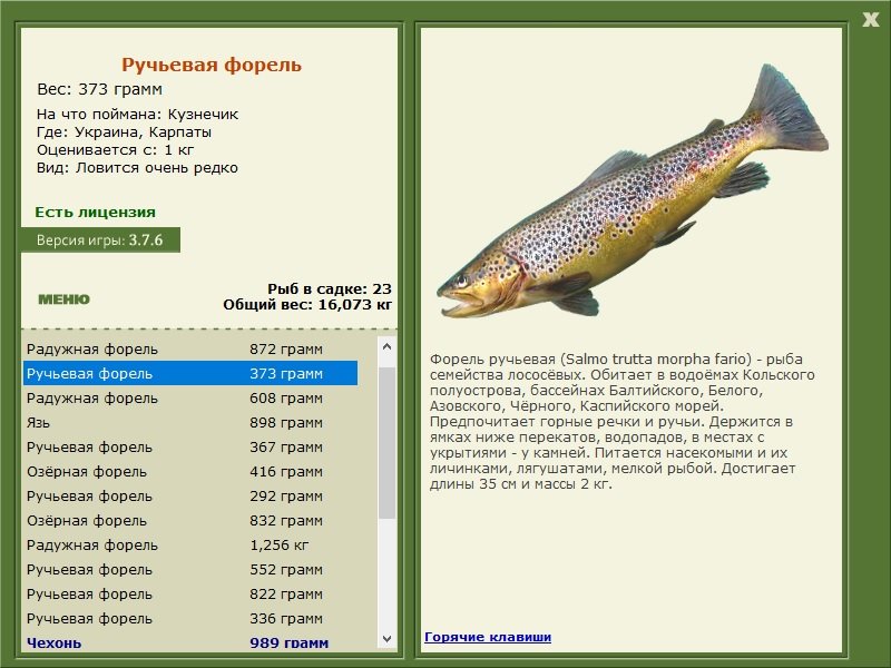 турниры • РУССКАЯ РЫБАЛКА