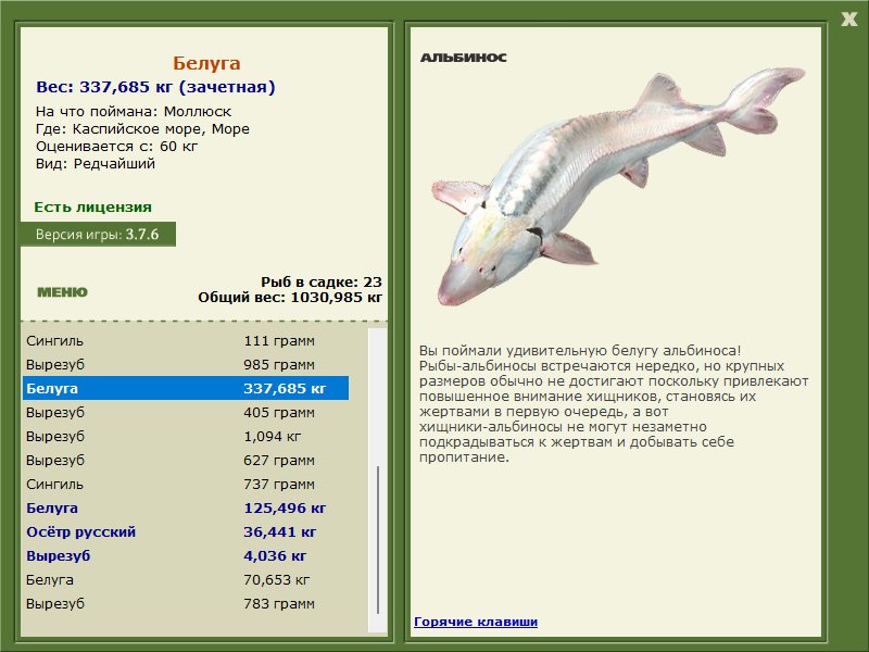 Море 