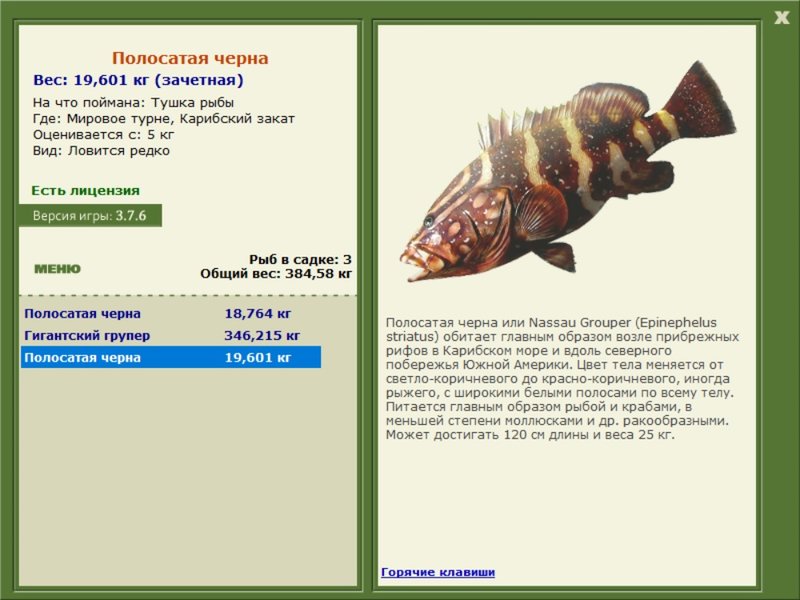турниры • РУССКАЯ РЫБАЛКА