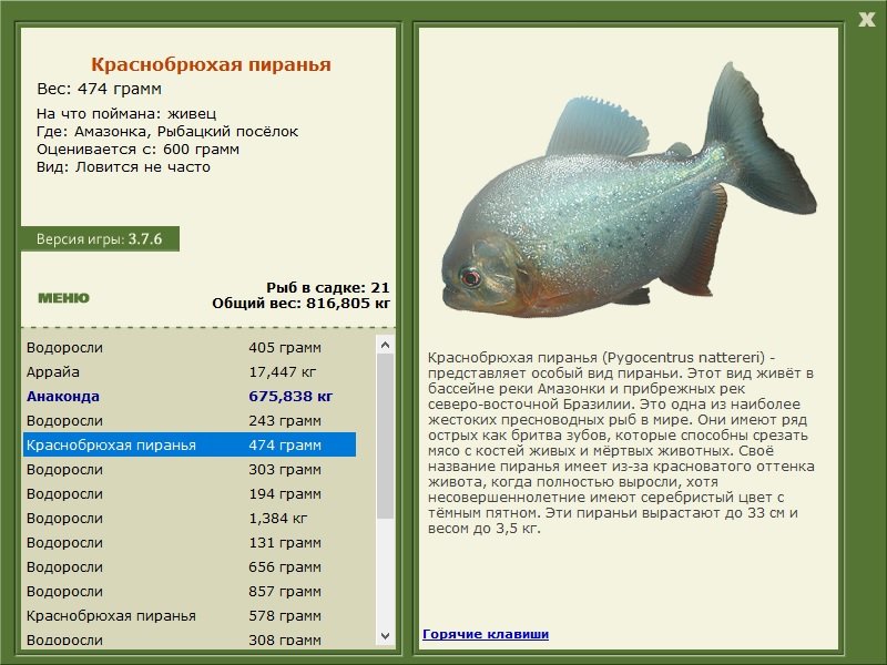 турниры • РУССКАЯ РЫБАЛКА