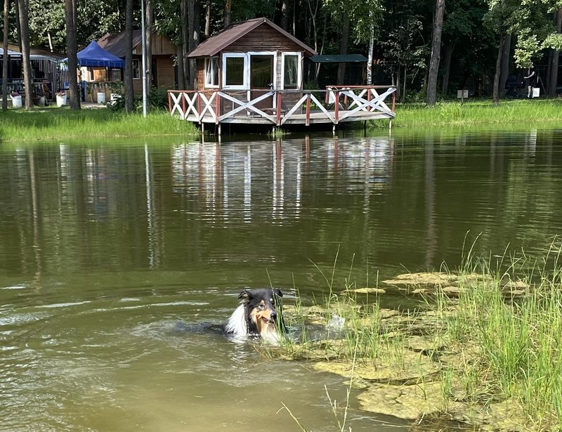  Моё хозяйство