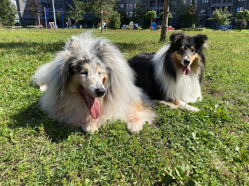  Моё хозяйство