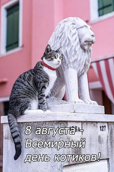  Вея. Иду