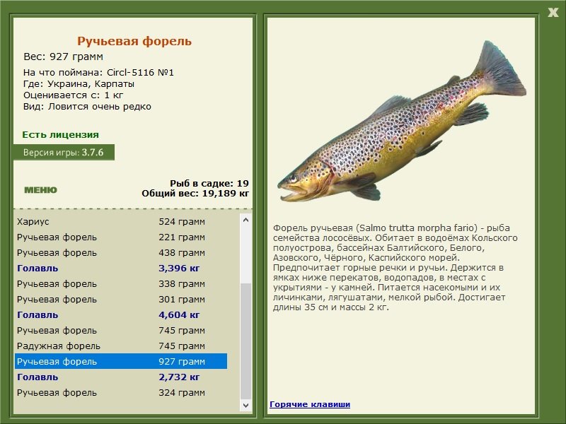 турниры • РУССКАЯ РЫБАЛКА