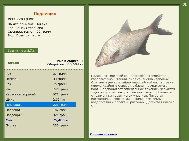 турниры • РУССКАЯ РЫБАЛКА